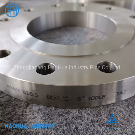 Titanium Flange ASME Sb381 F2 ASME B16.5 Forging Flange