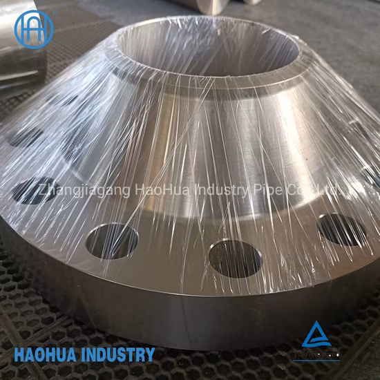 Titanium Flange ASME Sb381 F2 ASME B16.5 Forging Flange